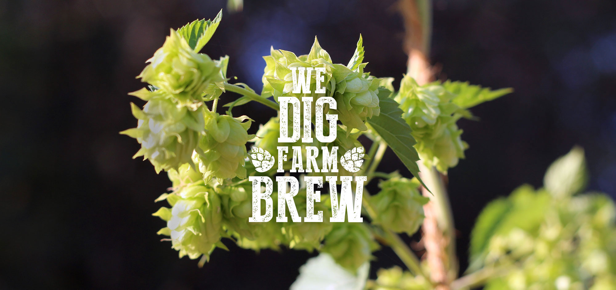 We Dig Farm Brew - hops